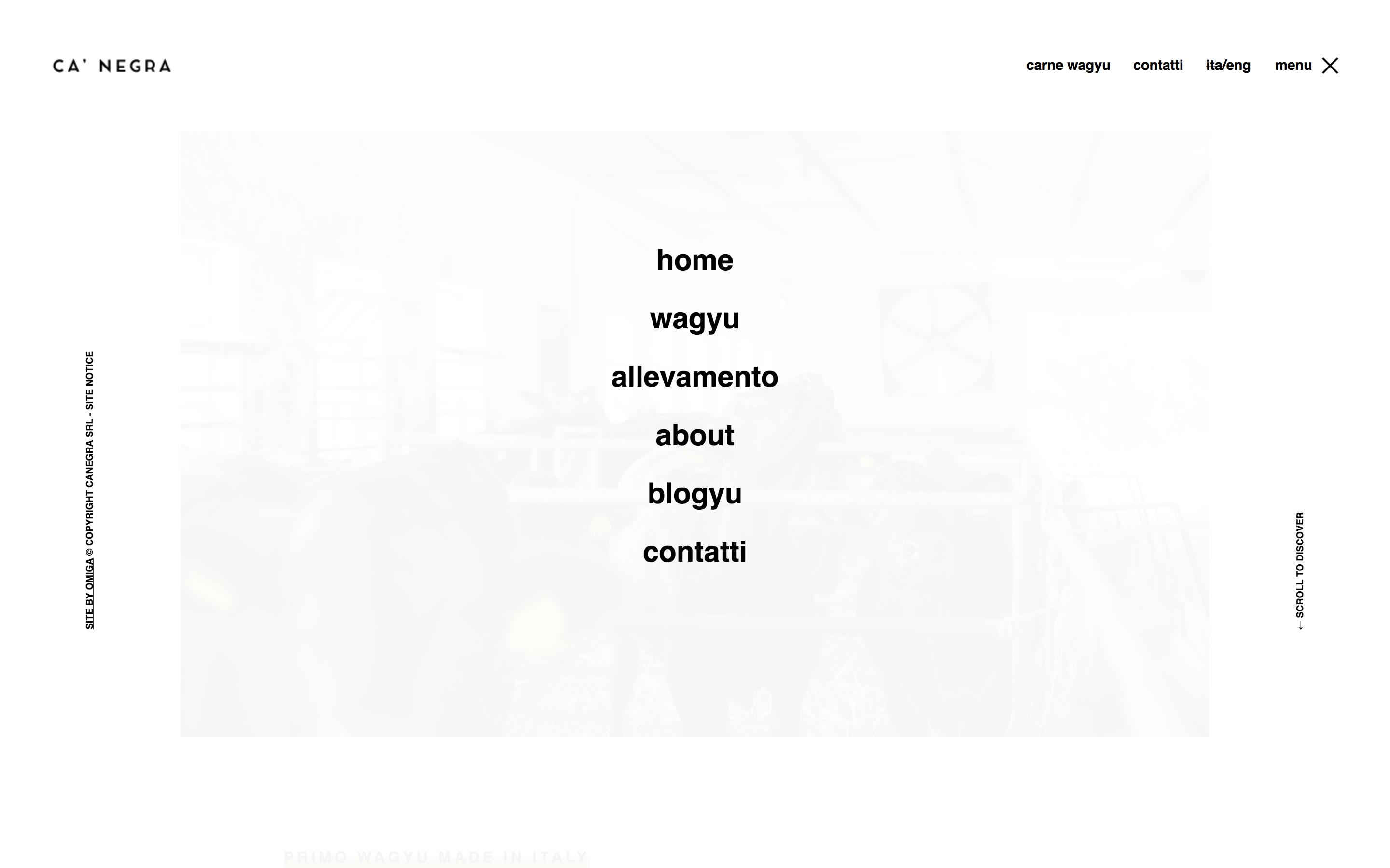 Screenshot of website designed for Ca'Negra