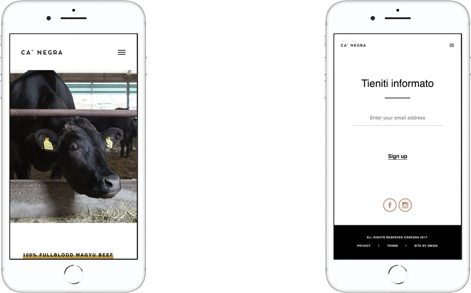Website designed for Ca'Negra mocked up in iPhone