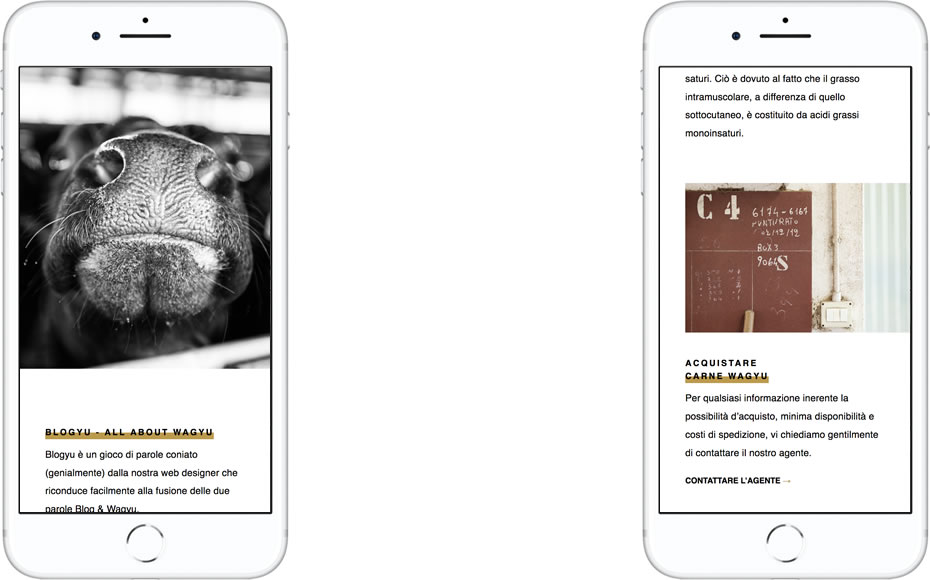 Website designed for Ca'Negra mocked up in iPhone